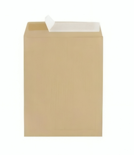 Paquet de 125 Pochettes Kraft 310x410 mm Réf. 15039