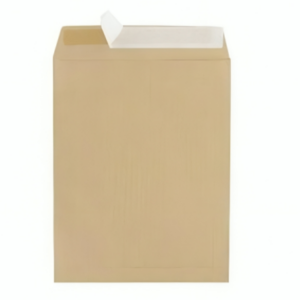 Paquet de 125 Pochettes Kraft 310x410 mm Réf. 15039