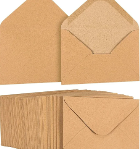 250 ENVELOPPES KRAFT  FORMAT 81 (250X325 MM)